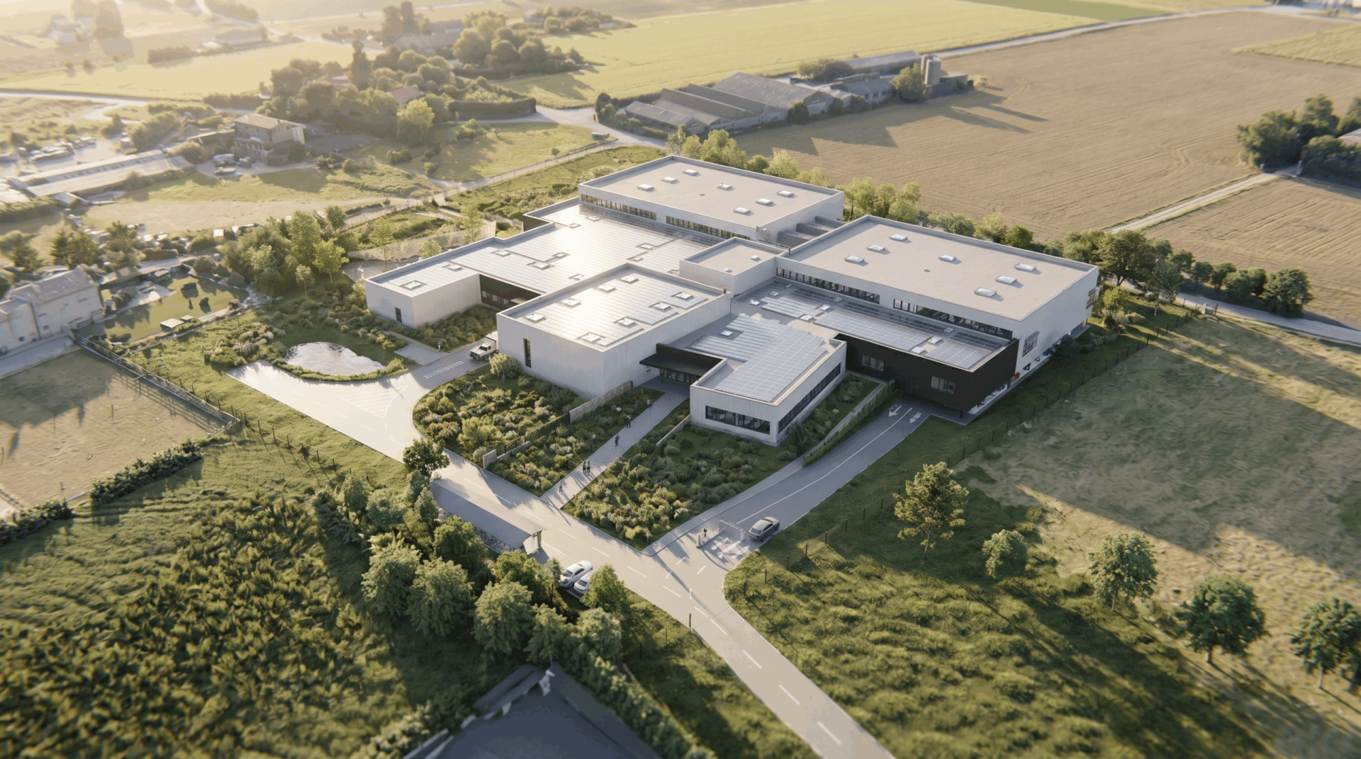 23-010_TOLOMEI_BirdView 01_20